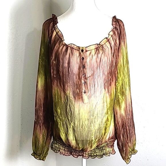 Lane Bryant Sheer Ombre' Blouse, Browns & Greens, Gold Striped Lines, Size 14/16 - Picture 2 of 7